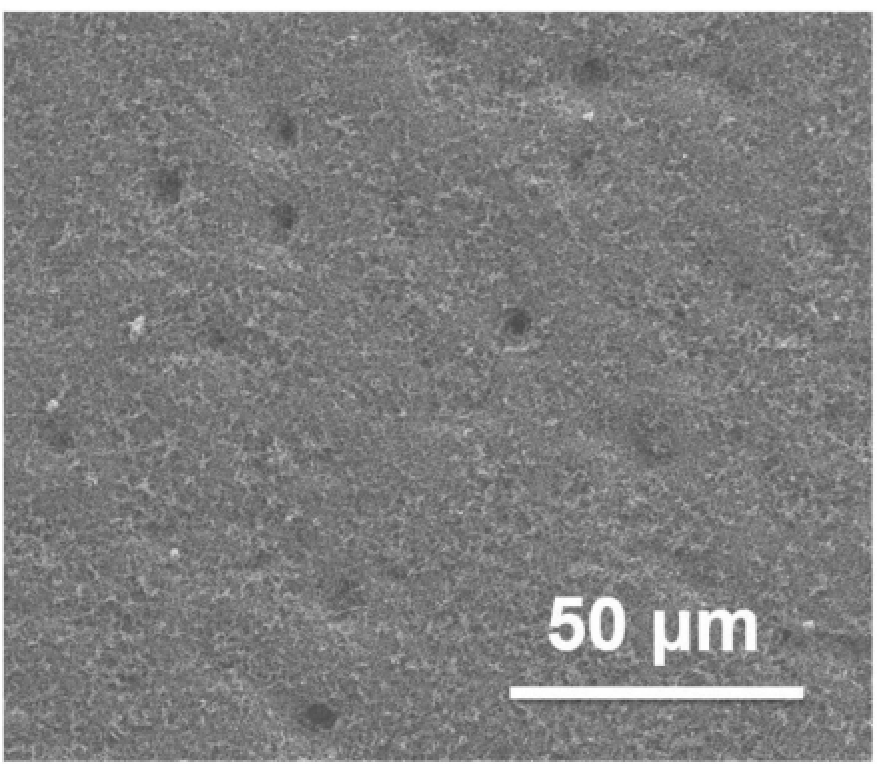 一種具有超疏水纖毛結(jié)構(gòu)的復(fù)合涂層、防水垢涂覆制品及其制備方法