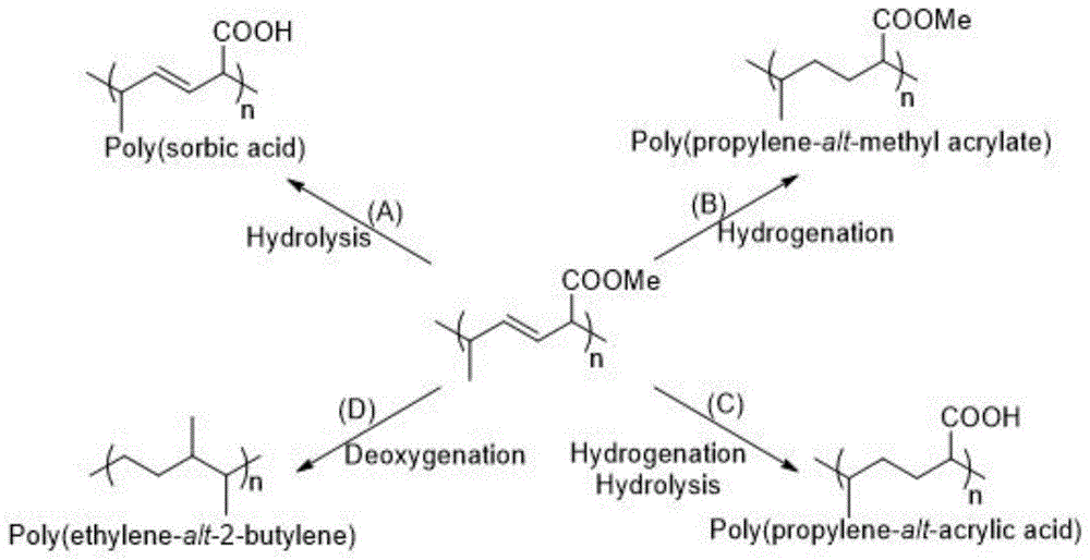 一種路易斯堿的應(yīng)用、山梨酸酯聚合物及其衍生物